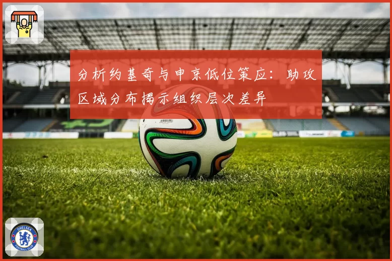 分析约基奇与申京低位策应：助攻区域分布揭示组织层次差异