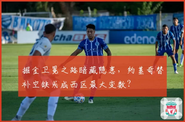 掘金卫冕之路暗藏隐患,约基奇替补空缺或成西区最大变数?