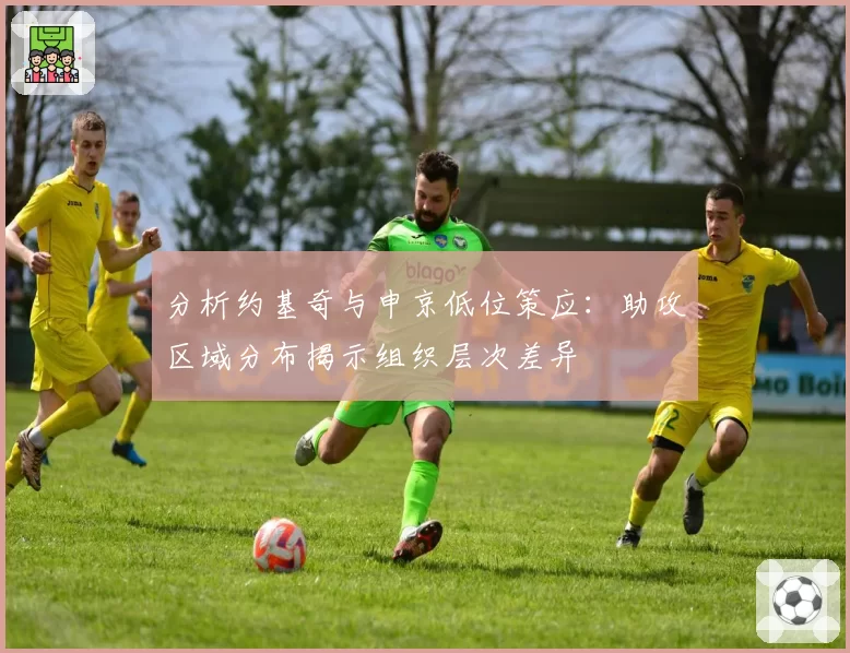 分析约基奇与申京低位策应：助攻区域分布揭示组织层次差异